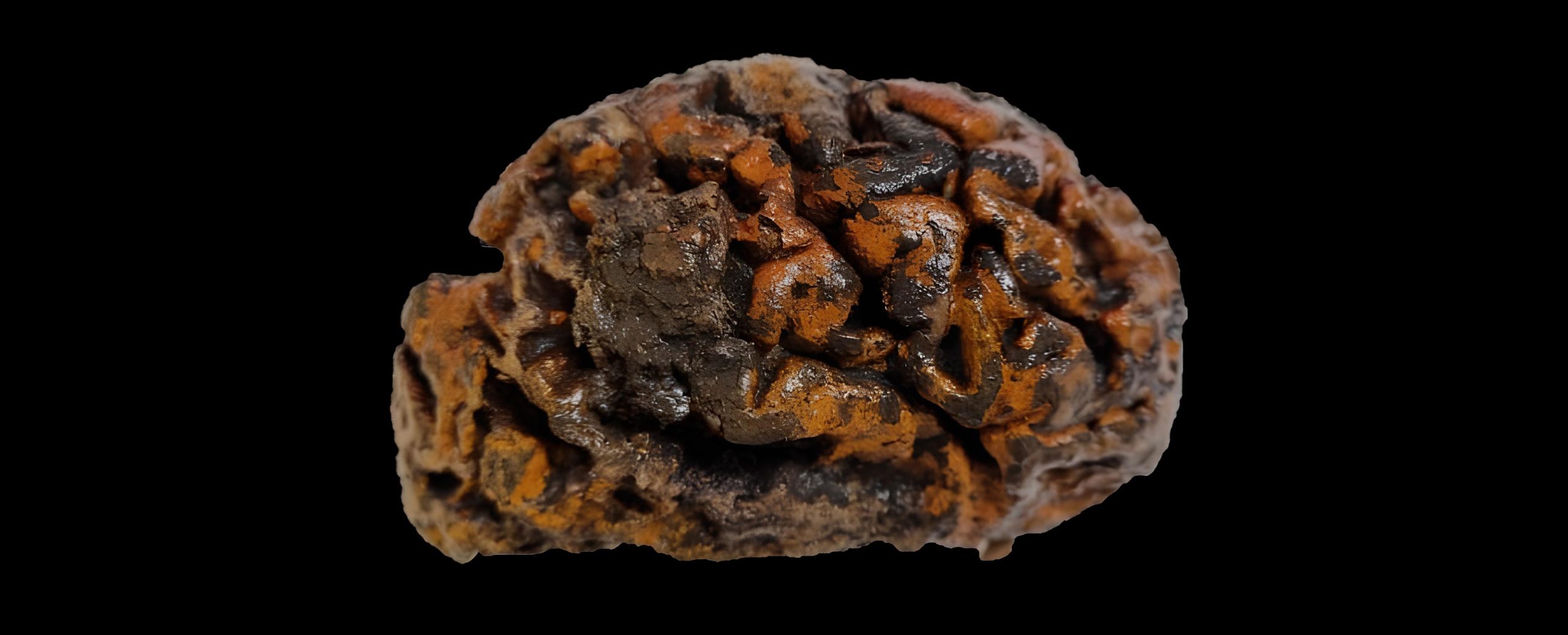 12.000 yillik beyin kapak scaled